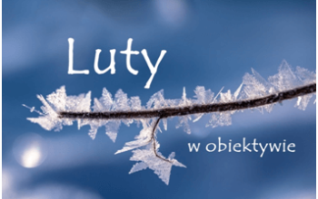 luty