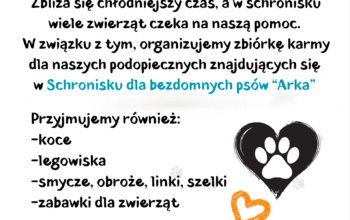 Pełna miska dla Schroniska (2)